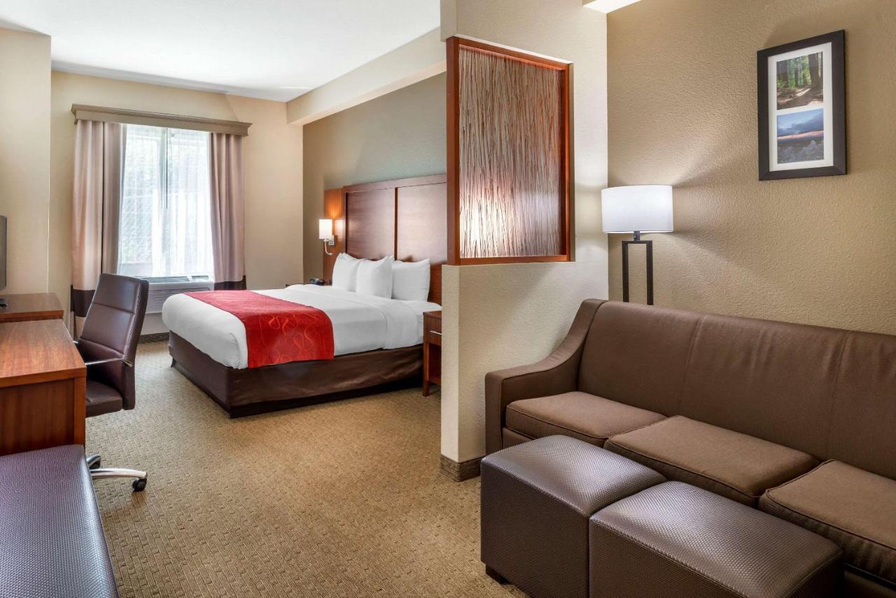 Comfort Hotel