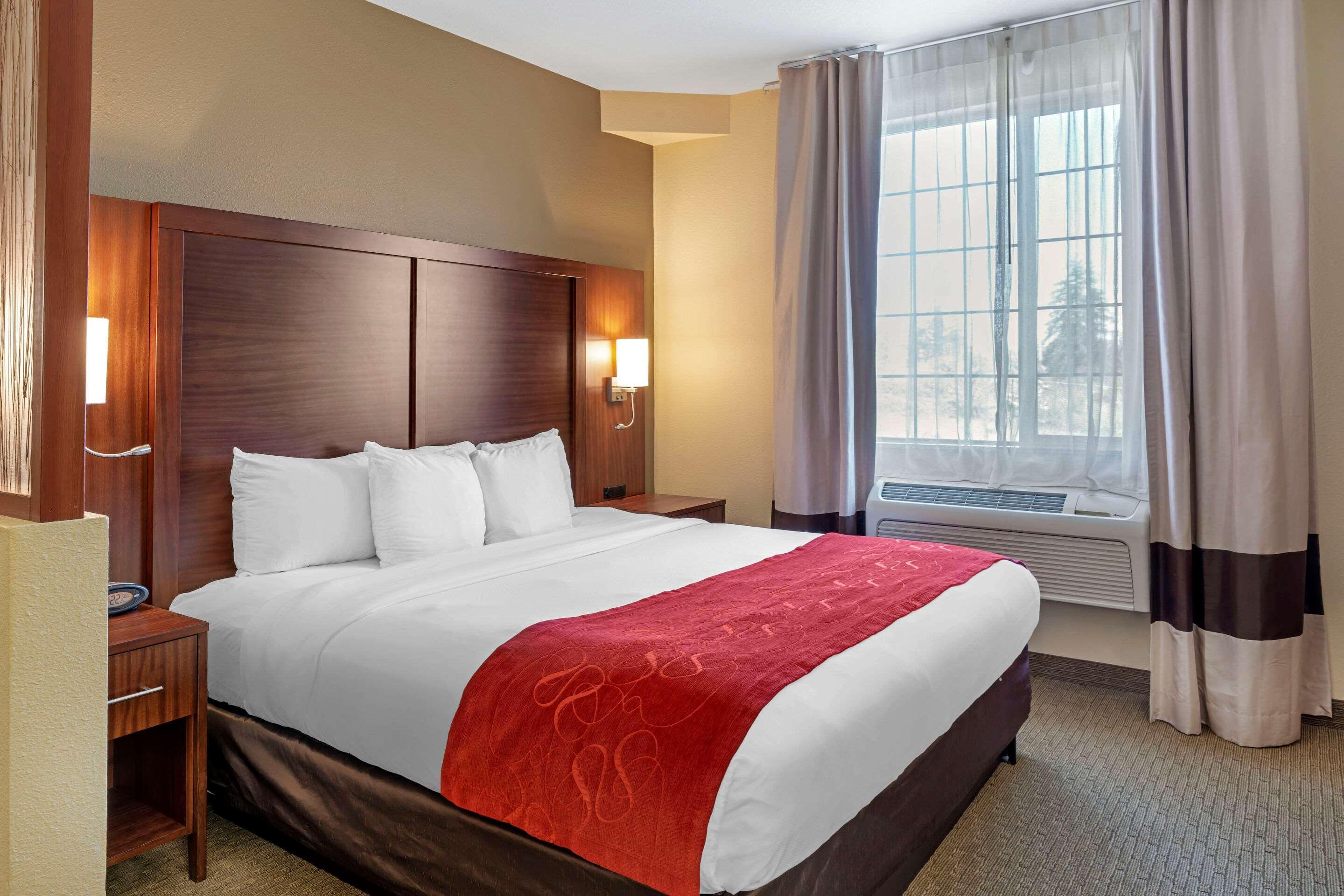 Comfort Hotel