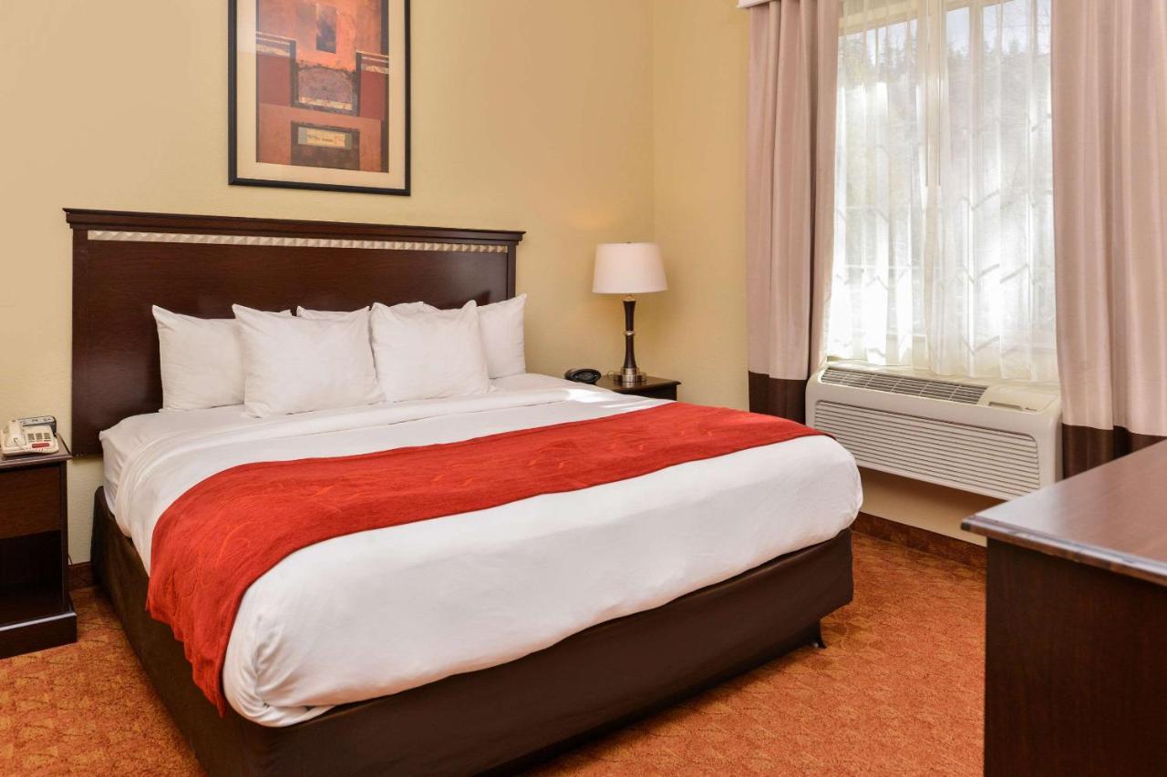 Hotel Comfort